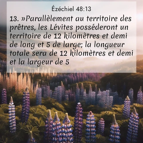 Segond21 Ézéchiel  ; image nature: image avec le verset biblique :»Parallèlement au territoire des prêtres, les Lévites posséderont un territoire de 12 kilomètres et demi de long et 5 de large; la longueur totale sera de 12 kilomètres et demi et la largeur de 5. ;  ; 48:13