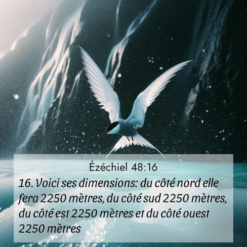 Segond21 Ézéchiel  ; image nature: image avec le verset biblique :Voici ses dimensions: du côté nord elle fera 2250 mètres, du côté sud 2250 mètres, du côté est 2250 mètres et du côté ouest 2250 mètres. ;  ; 48:16