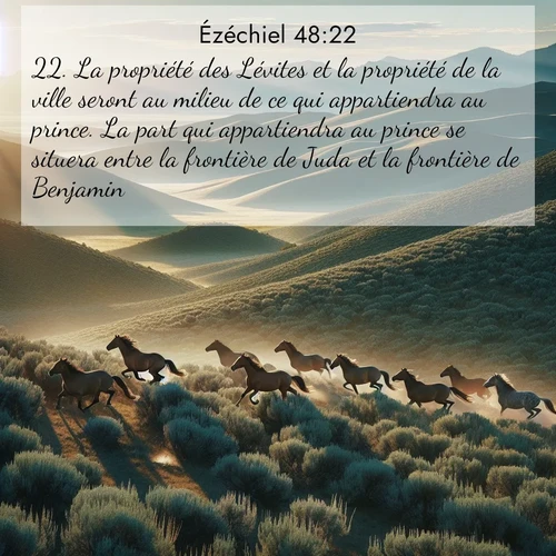 Segond21 Ézéchiel  ; image nature: image avec le verset biblique :La propriété des Lévites et la propriété de la ville seront au milieu de ce qui appartiendra au prince. La part qui appartiendra au prince se situera entre la frontière de Juda et la frontière de Benjamin. ;  ; 48:22