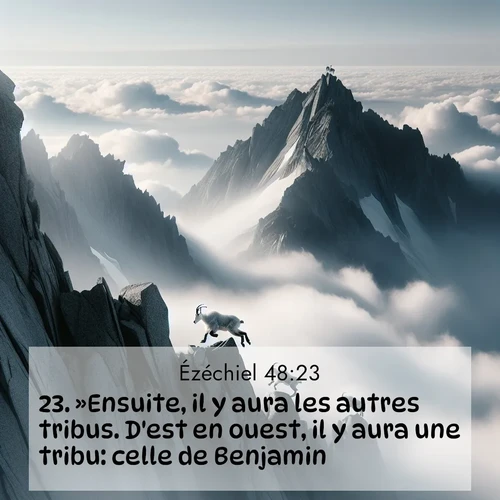 Segond21 Ézéchiel  ; image nature: image avec le verset biblique :»Ensuite, il y aura les autres tribus. D&#039;est en ouest, il y aura une tribu: celle de Benjamin. ;  ; 48:23