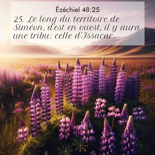Segond21 Ézéchiel  ; image nature: image avec le verset biblique :Le long du territoire de Siméon, d&#039;est en ouest, il y aura une tribu: celle d&#039;Issacar. ;  ; 48:25