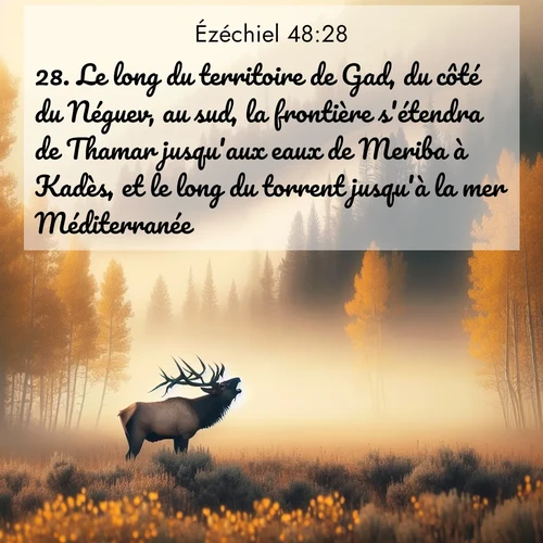 Segond21 Ézéchiel  ; image nature: image avec le verset biblique :Le long du territoire de Gad, du côté du Néguev, au sud, la frontière s&#039;étendra de Thamar jusqu&#039;aux eaux de Meriba à Kadès, et le long du torrent jusqu&#039;à la mer Méditerranée. ;  ; 48:28
