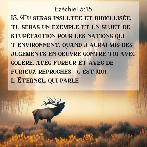 Segond21 Ézéchiel  ; image nature: image avec le verset biblique :Tu seras insultée et ridiculisée, tu seras un exemple et un sujet de stupéfaction pour les nations qui t&#039;environnent, quand j&#039;aurai mis des jugements en oeuvre contre toi avec colère, avec fureur et avec de furieux reproches  c&#039;est moi, l&#039;Eternel, qui parle  ;  ; 5:15