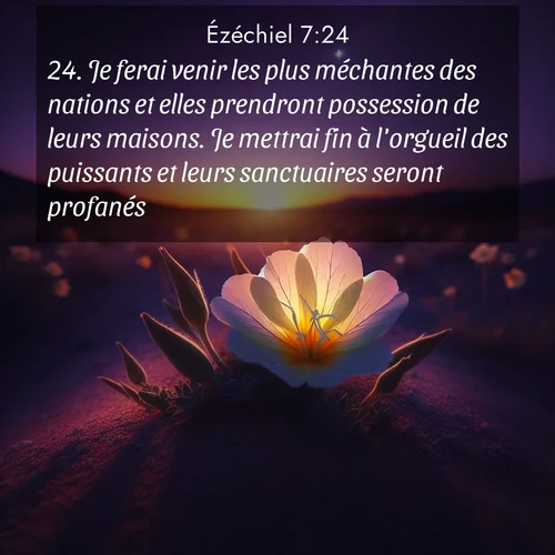 Segond21 Ézéchiel  ; image nature: image avec le verset biblique :Je ferai venir les plus méchantes des nations et elles prendront possession de leurs maisons. Je mettrai fin à l&#039;orgueil des puissants et leurs sanctuaires seront profanés. ;  ; 7:24