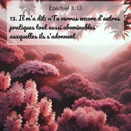 Segond21 Ézéchiel  ; image nature: image avec le verset biblique :Il m&#039;a dit: «Tu verras encore d&#039;autres pratiques tout aussi abominables auxquelles ils s&#039;adonnent.» ;  ; 8:13