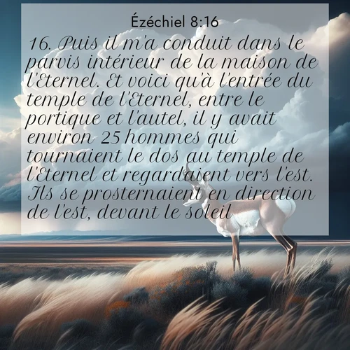 Segond21 Ézéchiel  ; image nature: image avec le verset biblique :Puis il m&#039;a conduit dans le parvis intérieur de la maison de l&#039;Eternel. Et voici qu&#039;à l&#039;entrée du temple de l&#039;Eternel, entre le portique et l&#039;autel, il y avait environ 25 hommes qui tournaient le dos au temple de l&#039;Eternel et regardaient vers l&#039;est. Ils se prosternaient en direction de l&#039;est, devant le soleil. ;  ; 8:16