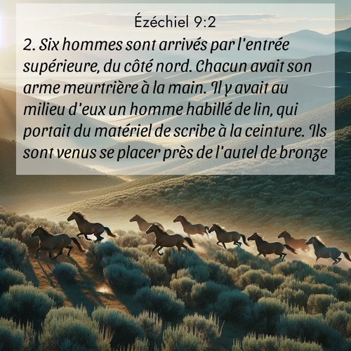 Segond21 Ézéchiel  ; image nature: image avec le verset biblique :Six hommes sont arrivés par l&#039;entrée supérieure, du côté nord. Chacun avait son arme meurtrière à la main. Il y avait au milieu d&#039;eux un homme habillé de lin, qui portait du matériel de scribe à la ceinture. Ils sont venus se placer près de l&#039;autel de bronze. ;  ; 9:2