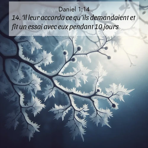 Segond21 Daniel  ; image nature: image avec le verset biblique :Il leur accorda ce qu&#039;ils demandaient et fit un essai avec eux pendant 10 jours. ;  ; 1:14