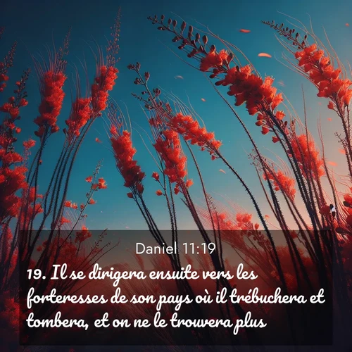 Segond21 Daniel  ; image nature: image avec le verset biblique :Il se dirigera ensuite vers les forteresses de son pays où il trébuchera et tombera, et on ne le trouvera plus. ;  ; 11:19
