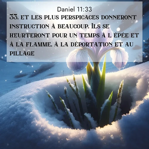 Segond21 Daniel  ; image nature: image avec le verset biblique :et les plus perspicaces donneront instruction à beaucoup. Ils se heurteront pour un temps à l&#039;épée et à la flamme, à la déportation et au pillage. ;  ; 11:33
