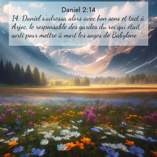 Segond21 Daniel  ; image nature: image avec le verset biblique :Daniel s&#039;adressa alors avec bon sens et tact à Arjoc, le responsable des gardes du roi qui était sorti pour mettre à mort les sages de Babylone. ;  ; 2:14