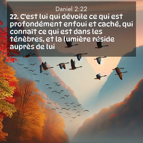 Segond21 Daniel  ; image nature: image avec le verset biblique :C&#039;est lui qui dévoile ce qui est profondément enfoui et caché, qui connaît ce qui est dans les ténèbres, et la lumière réside auprès de lui. ;  ; 2:22