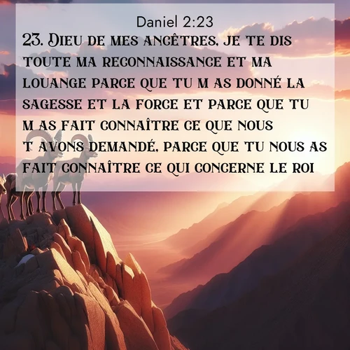 Segond21 Daniel  ; image nature: image avec le verset biblique :Dieu de mes ancêtres, je te dis toute ma reconnaissance et ma louange parce que tu m&#039;as donné la sagesse et la force et parce que tu m&#039;as fait connaître ce que nous t&#039;avons demandé, parce que tu nous as fait connaître ce qui concerne le roi.» ;  ; 2:23
