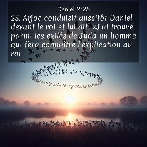 Segond21 Daniel  ; image nature: image avec le verset biblique :Arjoc conduisit aussitôt Daniel devant le roi et lui dit: «J&#039;ai trouvé parmi les exilés de Juda un homme qui fera connaître l&#039;explication au roi.» ;  ; 2:25