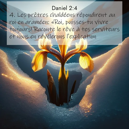 Segond21 Daniel  ; image nature: image avec le verset biblique :Les prêtres chaldéens répondirent au roi en araméen: «Roi, puisses-tu vivre toujours! Raconte le rêve à tes serviteurs et nous en révélerons l&#039;explication.» ;  ; 2:4