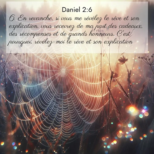 Segond21 Daniel  ; image nature: image avec le verset biblique :En revanche, si vous me révélez le rêve et son explication, vous recevrez de ma part des cadeaux, des récompenses et de grands honneurs. C&#039;est pourquoi, révélez-moi le rêve et son explication!» ;  ; 2:6