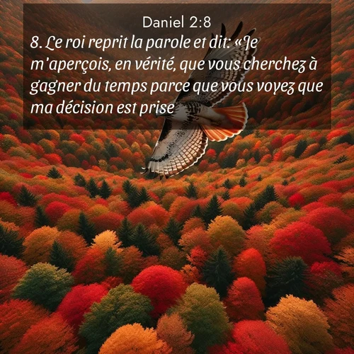 Segond21 Daniel  ; image nature: image avec le verset biblique :Le roi reprit la parole et dit: «Je m&#039;aperçois, en vérité, que vous cherchez à gagner du temps parce que vous voyez que ma décision est prise. ;  ; 2:8