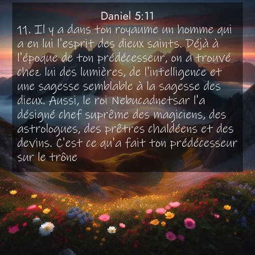 Segond21 Daniel  ; image nature: image avec le verset biblique :Il y a dans ton royaume un homme qui a en lui l&#039;esprit des dieux saints. Déjà à l&#039;époque de ton prédécesseur, on a trouvé chez lui des lumières, de l&#039;intelligence et une sagesse semblable à la sagesse des dieux. Aussi, le roi Nebucadnetsar l&#039;a désigné chef suprême des magiciens, des astrologues, des prêtres chaldéens et des devins. C&#039;est ce qu&#039;a fait ton prédécesseur sur le trône. ;  ; 5:11