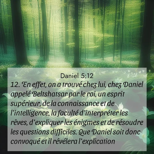 Segond21 Daniel  ; image nature: image avec le verset biblique :En effet, on a trouvé chez lui, chez Daniel appelé Beltshatsar par le roi, un esprit supérieur, de la connaissance et de l&#039;intelligence, la faculté d&#039;interpréter les rêves, d&#039;expliquer les énigmes et de résoudre les questions difficiles. Que Daniel soit donc convoqué et il révélera l&#039;explication.» ;  ; 5:12