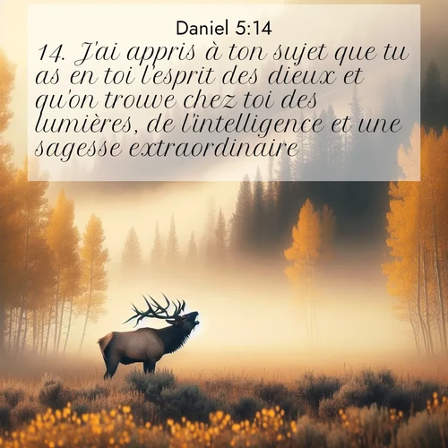 Segond21 Daniel  ; image nature: image avec le verset biblique :J&#039;ai appris à ton sujet que tu as en toi l&#039;esprit des dieux et qu&#039;on trouve chez toi des lumières, de l&#039;intelligence et une sagesse extraordinaire. ;  ; 5:14