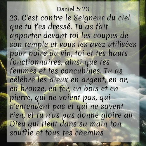 Segond21 Daniel  ; image nature: image avec le verset biblique :C&#039;est contre le Seigneur du ciel que tu t&#039;es dressé. Tu as fait apporter devant toi les coupes de son temple et vous les avez utilisées pour boire du vin, toi et tes hauts fonctionnaires, ainsi que tes femmes et tes concubines. Tu as célébré les dieux en argent, en or, en bronze, en fer, en bois et en pierre, qui ne voient pas, qui n&#039;entendent pas et qui ne savent rien, et tu n&#039;as pas donné gloire au Dieu qui tient dans sa main ton souffle et tous tes chemins. ;  ; 5:23