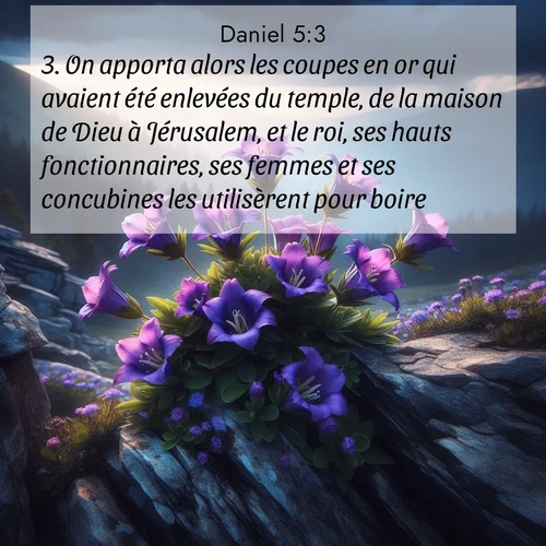 Segond21 Daniel  ; image nature: image avec le verset biblique :On apporta alors les coupes en or qui avaient été enlevées du temple, de la maison de Dieu à Jérusalem, et le roi, ses hauts fonctionnaires, ses femmes et ses concubines les utilisèrent pour boire. ;  ; 5:3
