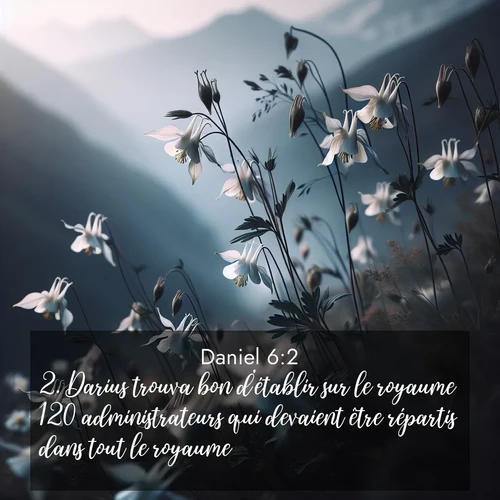 Segond21 Daniel  ; image nature: image avec le verset biblique :Darius trouva bon d&#039;établir sur le royaume 120 administrateurs qui devaient être répartis dans tout le royaume. ;  ; 6:2