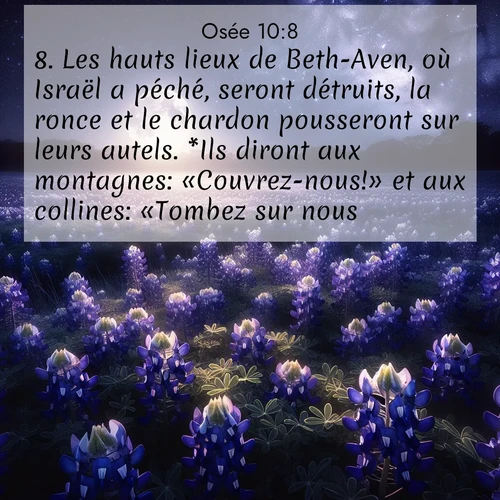 image nature avec verset biblique de la Bible