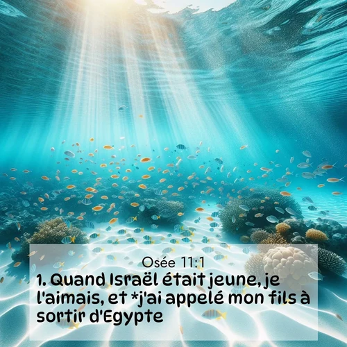 Segond21 Osée  ; image nature: image avec le verset biblique :Quand Israël était jeune, je l&#039;aimais, et *j&#039;ai appelé mon fils à sortir d&#039;Egypte. ;  ; 11:1
