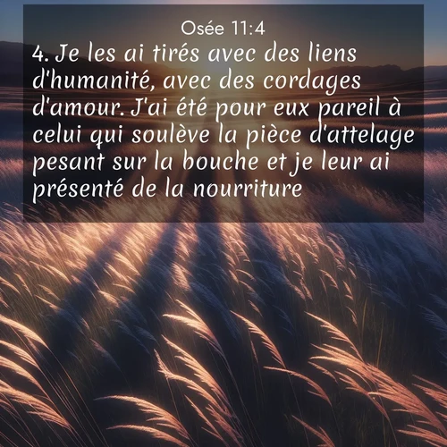 Segond21 Osée  ; image nature: image avec le verset biblique :Je les ai tirés avec des liens d&#039;humanité, avec des cordages d&#039;amour. J&#039;ai été pour eux pareil à celui qui soulève la pièce d&#039;attelage pesant sur la bouche et je leur ai présenté de la nourriture. ;  ; 11:4