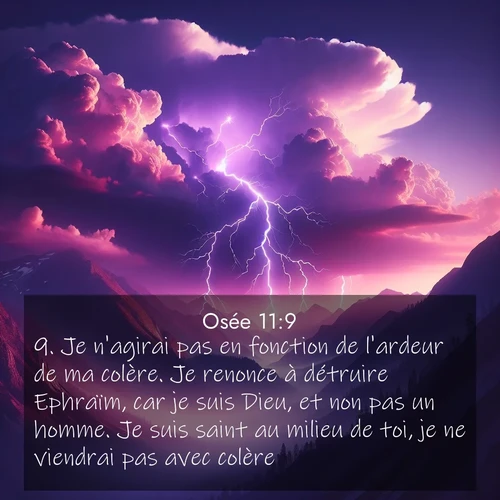Segond21 Osée  ; image nature: image avec le verset biblique :Je n&#039;agirai pas en fonction de l&#039;ardeur de ma colère. Je renonce à détruire Ephraïm, car je suis Dieu, et non pas un homme. Je suis saint au milieu de toi, je ne viendrai pas avec colère. ;  ; 11:9