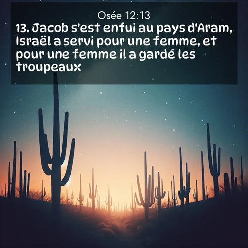 Segond21 Osée  ; image nature: image avec le verset biblique :Jacob s&#039;est enfui au pays d&#039;Aram, Israël a servi pour une femme, et pour une femme il a gardé les troupeaux. ;  ; 12:13