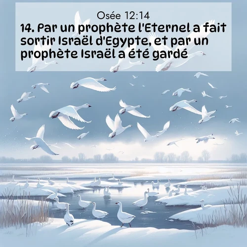 Segond21 Osée  ; image nature: image avec le verset biblique :Par un prophète l&#039;Eternel a fait sortir Israël d&#039;Egypte, et par un prophète Israël a été gardé. ;  ; 12:14