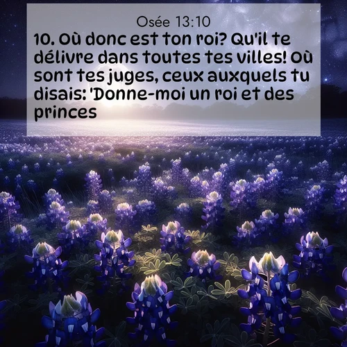 Segond21 Osée  ; image nature: image avec le verset biblique :Où donc est ton roi? Qu&#039;il te délivre dans toutes tes villes! Où sont tes juges, ceux auxquels tu disais: &#039;Donne-moi un roi et des princes&#039;? ;  ; 13:10