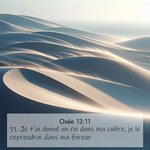 Segond21 Osée  ; image nature: image avec le verset biblique :Je t&#039;ai donné un roi dans ma colère, je le reprendrai dans ma fureur. ;  ; 13:11