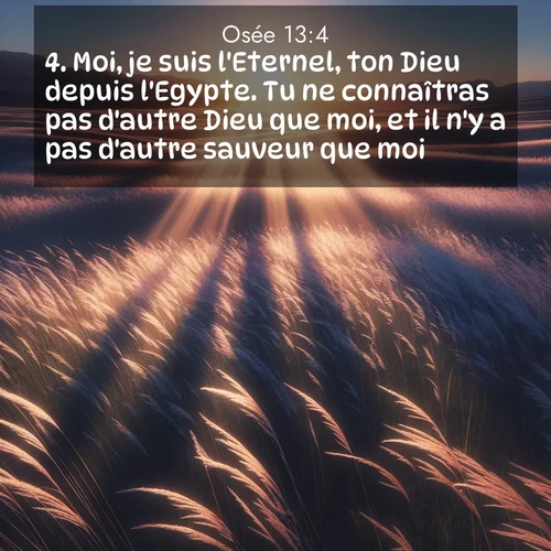 Segond21 Osée  ; image nature: image avec le verset biblique :Moi, je suis l&#039;Eternel, ton Dieu depuis l&#039;Egypte. Tu ne connaîtras pas d&#039;autre Dieu que moi, et il n&#039;y a pas d&#039;autre sauveur que moi. ;  ; 13:4