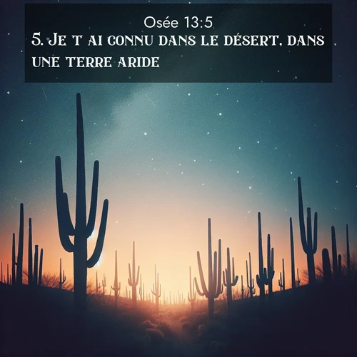 Segond21 Osée  ; image nature: image avec le verset biblique :Je t&#039;ai connu dans le désert, dans une terre aride. ;  ; 13:5