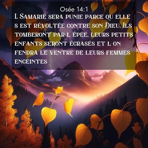 Segond21 28 14:1