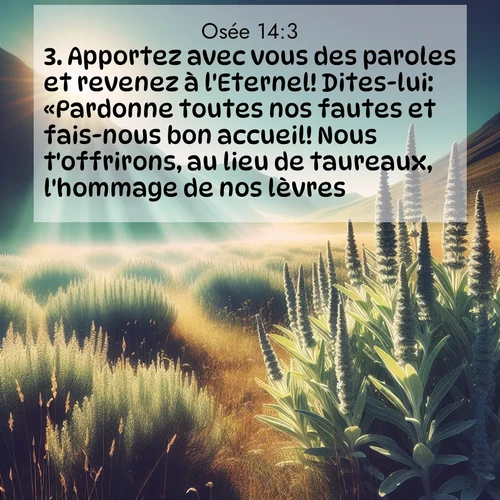 image nature avec verset biblique de la Bible