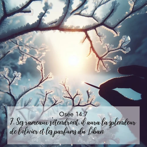 Segond21 Osée  ; image nature: image avec le verset biblique :Ses rameaux s&#039;étendront, il aura la splendeur de l&#039;olivier et les parfums du Liban. ;  ; 14:7