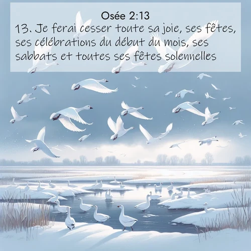 Segond21 Osée  ; image nature: image avec le verset biblique :Je ferai cesser toute sa joie, ses fêtes, ses célébrations du début du mois, ses sabbats et toutes ses fêtes solennelles. ;  ; 2:13