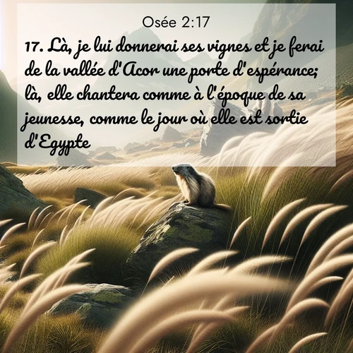 Segond21 Osée  ; image nature: image avec le verset biblique :Là, je lui donnerai ses vignes et je ferai de la vallée d&#039;Acor une porte d&#039;espérance; là, elle chantera comme à l&#039;époque de sa jeunesse, comme le jour où elle est sortie d&#039;Egypte. ;  ; 2:17