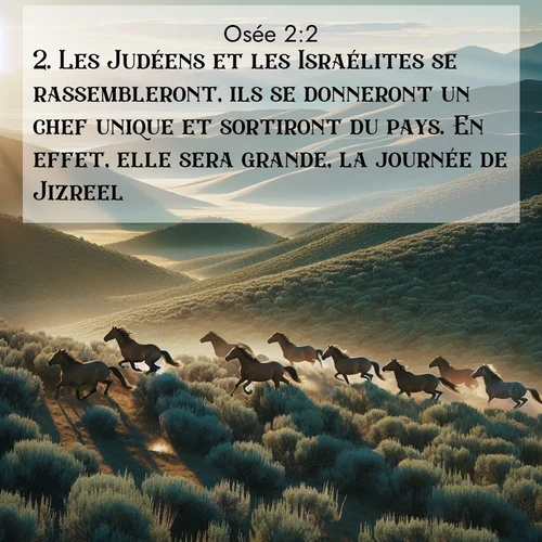 Segond21 Osée  ; image nature: image avec le verset biblique :Les Judéens et les Israélites se rassembleront, ils se donneront un chef unique et sortiront du pays. En effet, elle sera grande, la journée de Jizreel. ;  ; 2:2