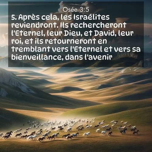 Segond21 Osée  ; image nature: image avec le verset biblique :Après cela, les Israélites reviendront. Ils rechercheront l&#039;Eternel, leur Dieu, et David, leur roi, et ils retourneront en tremblant vers l&#039;Eternel et vers sa bienveillance, dans l&#039;avenir. ;  ; 3:5