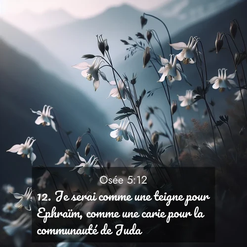 Segond21 Osée  ; image nature: image avec le verset biblique :Je serai comme une teigne pour Ephraïm, comme une carie pour la communauté de Juda. ;  ; 5:12