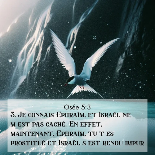 Segond21 Osée  ; image nature: image avec le verset biblique :Je connais Ephraïm, et Israël ne m&#039;est pas caché. En effet, maintenant, Ephraïm, tu t&#039;es prostitué et Israël s&#039;est rendu impur. ;  ; 5:3