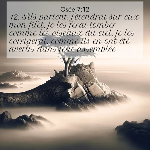 Segond21 Osée  ; image nature: image avec le verset biblique :S&#039;ils partent, j&#039;étendrai sur eux mon filet, je les ferai tomber comme les oiseaux du ciel, je les corrigerai, comme ils en ont été avertis dans leur assemblée. ;  ; 7:12