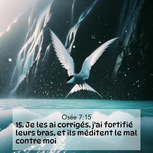 Segond21 Osée  ; image nature: image avec le verset biblique :Je les ai corrigés, j&#039;ai fortifié leurs bras, et ils méditent le mal contre moi. ;  ; 7:15