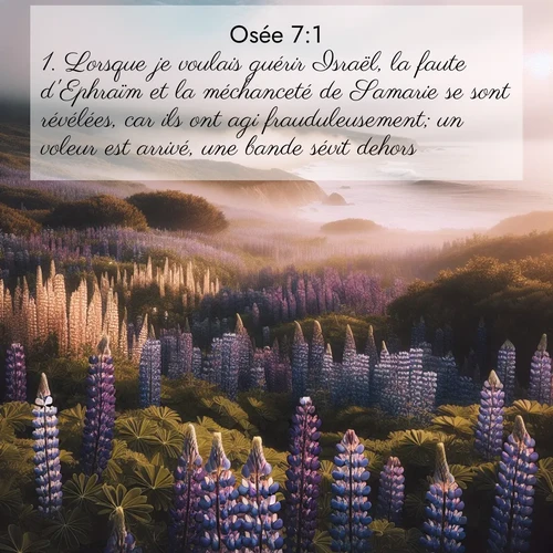 Segond21 Osée  ; image nature: image avec le verset biblique :Lorsque je voulais guérir Israël, la faute d&#039;Ephraïm et la méchanceté de Samarie se sont révélées, car ils ont agi frauduleusement; un voleur est arrivé, une bande sévit dehors. ;  ; 7:1