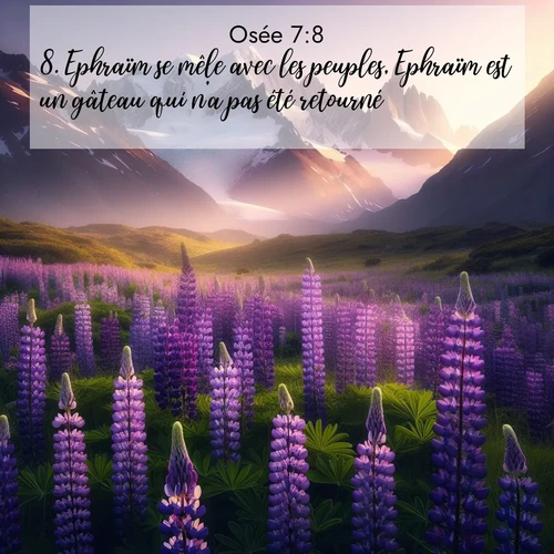 Segond21 Osée  ; image nature: image avec le verset biblique :Ephraïm se mêle avec les peuples, Ephraïm est un gâteau qui n&#039;a pas été retourné. ;  ; 7:8